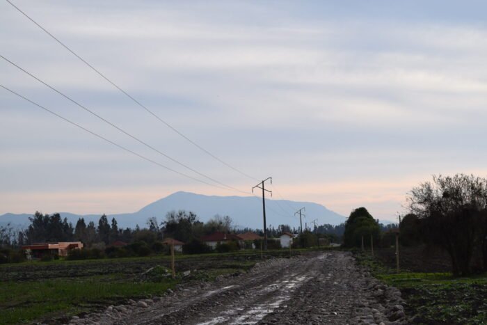 Los Abedules - Imagen 5